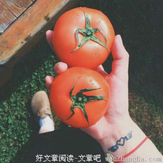 2017大牙秦经典语录