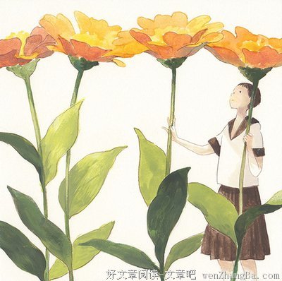 最经典的《星星上的花》名句欣赏