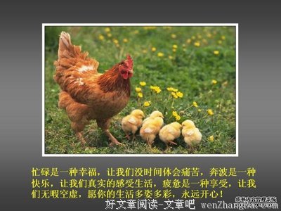 最经典的《我讲个笑话，你可别哭啊》经典句子