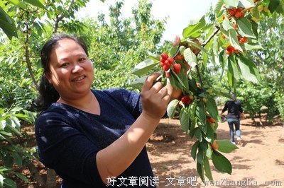 陈忠实的句子_关于陈忠实的句子