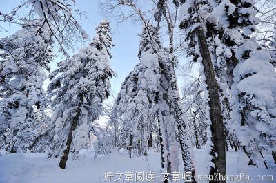 苏杭的句子