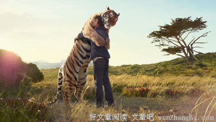 最全的《动物凶猛》好段摘抄
