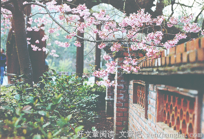 最新的《心灵的焦灼》名句欣赏大全