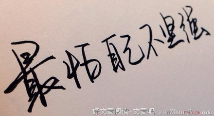 最新的《姐姐立正向前走》经典句子大全