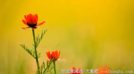 认知层次高的人，过的是不一样的人生
