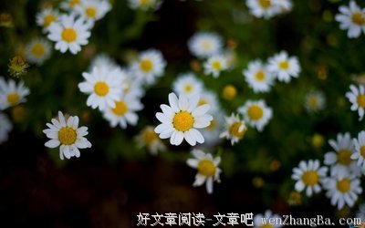 无礼格言警句