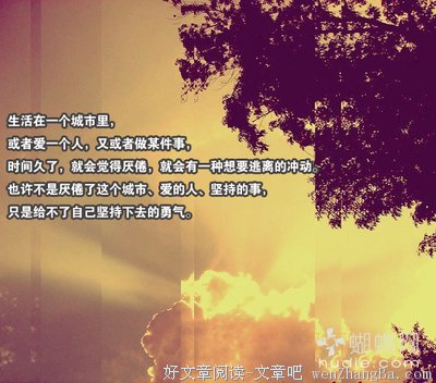 最新的《没有人会因为心碎而绝望》经典句子