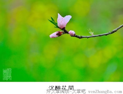 花开花落总关情