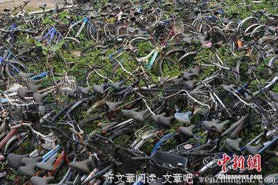 最全的《非暴力沟通》语录摘抄大全
