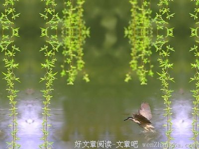 最全的《踏莎行》好段摘抄大全
