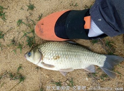 一个意外和惊喜不断的下午