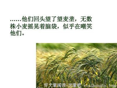 惋惜的句子
