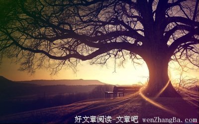 抽象的名言_关于抽象的名言