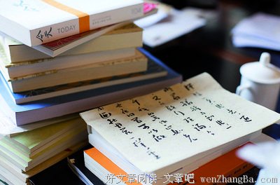 金宇澄经典语录