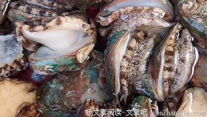 这一路