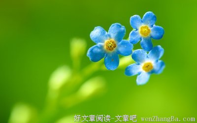 最新的《就这么漂来漂去》散文美句大全