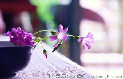 最新的《把心安顿好》经典语句大全