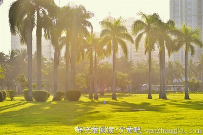 那一抺暖阳