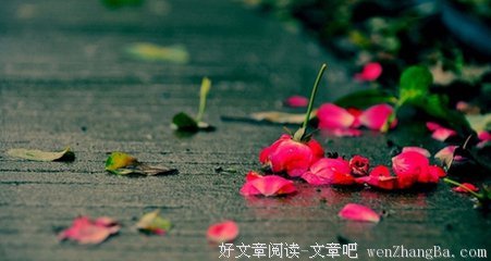 最经典的《浮生若梦》佳句摘抄大全