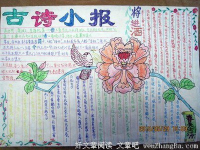 最全的《蝶恋花》语录摘抄