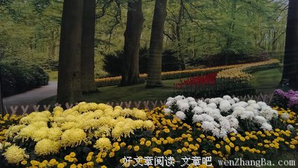 青春，如果你还在徘徊
