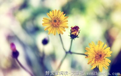 不同凡响格言警句