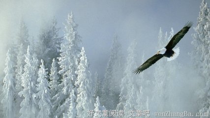 难受的句子_关于难受的句子