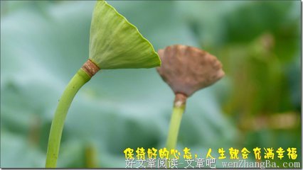 感悟！！！