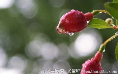 收集到的,很不错的句子