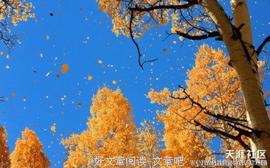 《空谷幽兰》经典语录大全