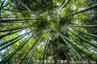 顶天立地的名人名言