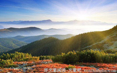 最新的《晚来寂静》好段摘抄