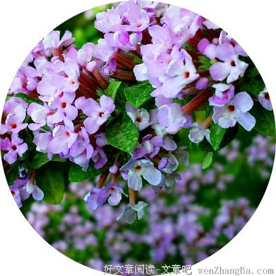 最新的塞涅卡名句欣赏