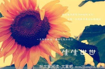 有关谢娜的美句摘抄
