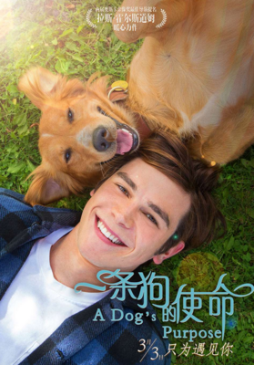 最新的《一只狗在说人话》经典句子