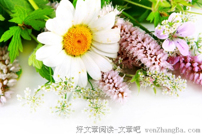 《赎恋》语录摘抄
