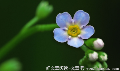 潮涨潮落的句子_关于潮涨潮落的句子