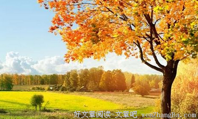 最新的《心灵的焦灼》好段摘抄