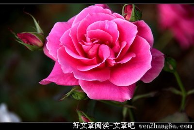 关于新朋的唯美句子