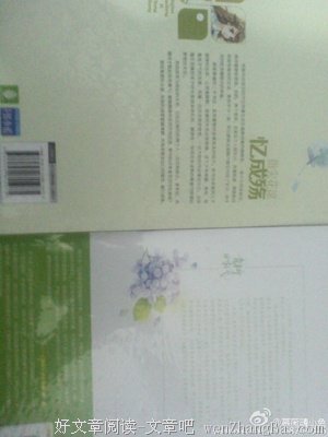 《青柠时代》小说摘抄大全