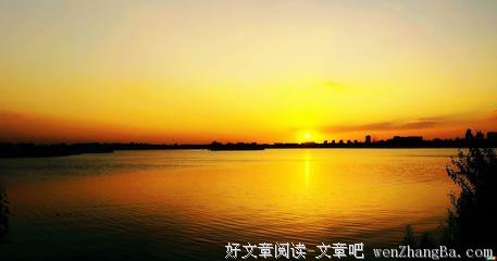 落日蔷薇15句经典名言
