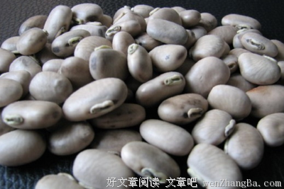 关于黄飞的格言