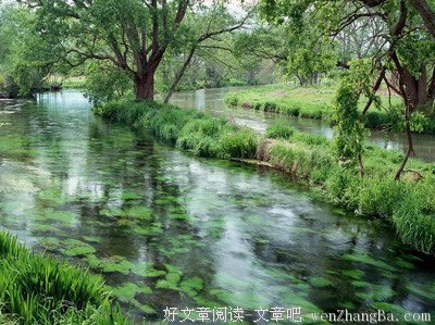 最经典的《扶桑》语录摘抄