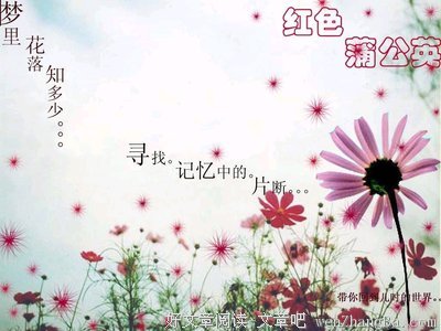 最经典的《梦里花落知多少》经典句子大全