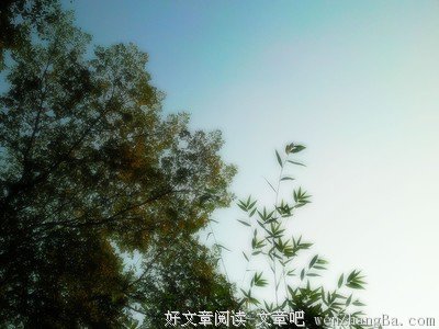 最新的《我是真的为你哭了》小说摘抄
