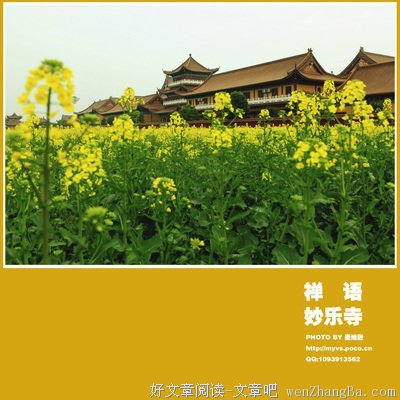 最全的寺山修司15句经典名言