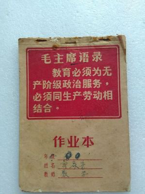 2017作业本精彩语录