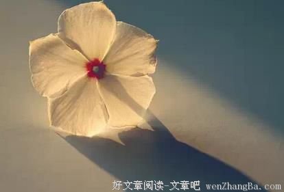哪有什么人生赢家，不过都是人间过客