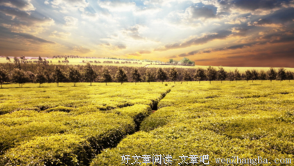 关于硕果累累的格言