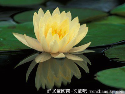 最新的《像我这样的一个女子》经典名句